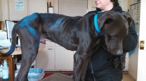 1044024_10202643709561130_1959535815_n