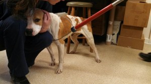 1240055_10202656623643974_1168009705_n