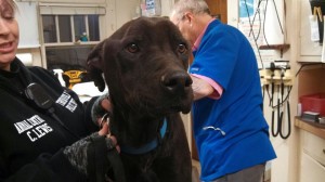 1532075_10202643724561505_1726538903_n