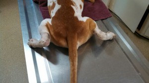 1533938_10202656604123486_1402524898_n