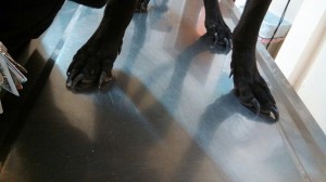 1604591_10202643719161370_1604771370_n