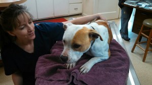 1620540_10202656624643999_872216876_n