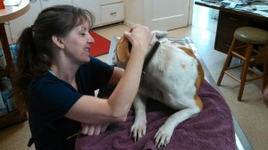 1622066_10202656622883955_2037273005_n