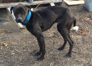 1653620_10202643697520829_460792376_n