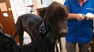 1654054_10202643720401401_1320987379_n