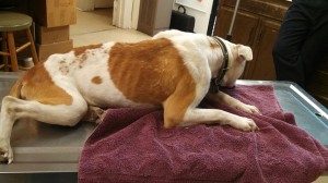 9821_10202656610843654_989158329_n