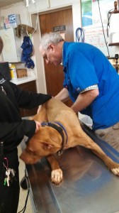 1017565_10202842838979241_1454464723_n