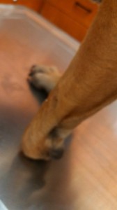 12766_10202823434974153_1703372582_n