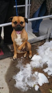 15121_10202823390733047_1399942303_n