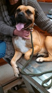 1618643_10202823407653470_1424112685_n