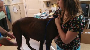 1655898_10202842623293849_1830138814_n