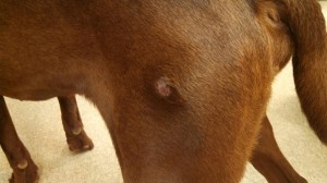 1779083_10202842772897589_1657463522_n