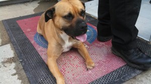 1779217_10202823399453265_492943059_n