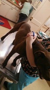 1779248_10202842620813787_649274122_n