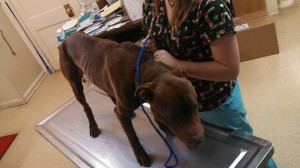 1794615_10202842626213922_856246640_n