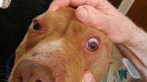 1902886_10202842817538705_842992881_n