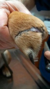 1911854_10202823372932602_5926104_n