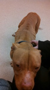 1912370_10202842818298724_557516594_n