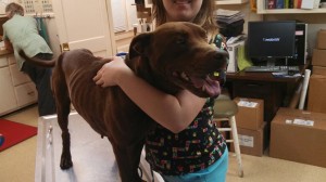 1969238_10202842617653708_1087438952_n