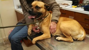 923447_10202823427013954_1477464327_n