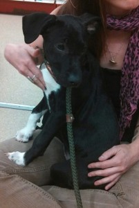 10156125_10203302838638945_7471526192296828752_n