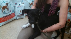 10171268_10203302840278986_7953467612020875586_n