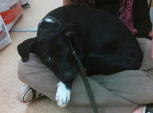 10256446_10203302835758873_6052369783891061577_n