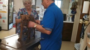 10259847_10203300117490918_52097553868900104_n