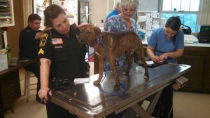 10259871_10203300116250887_3377475123910037948_n