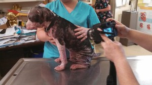 10298779_10203300120010981_2457939862032182058_n