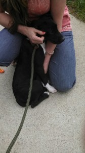 1231674_10203302837078906_7857132103134993783_n