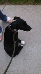 1514598_10203302841399014_4423891223827880304_n