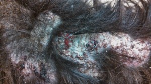 IMG_20140331_194802_607