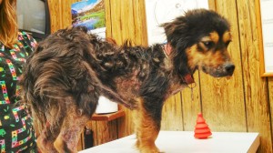 IMG_20140331_202249_681