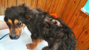 IMG_20140331_202322_304