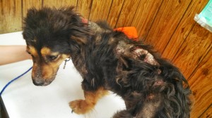 IMG_20140331_202328_238