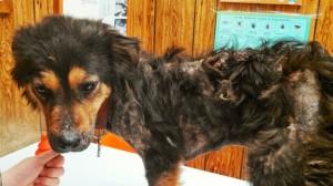 IMG_20140331_202334_712