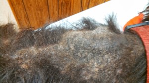 IMG_20140331_203021_807