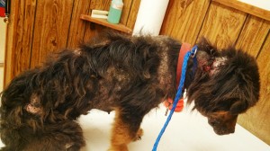 IMG_20140331_203054_136