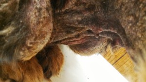 IMG_20140331_203156_107