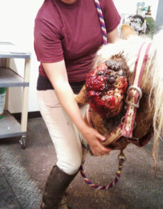 IMG_20140428_201447_018