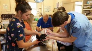 10156161_10203540511620621_1594645063134033781_n