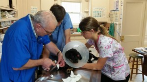 10273552_10203540110090583_9067091255145078457_n