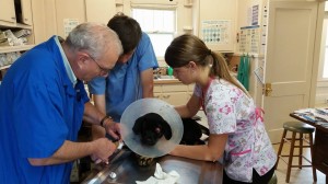 10339708_10203540109250562_1240067824050505432_n