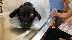 10383665_10203540512580645_277344654294518621_n