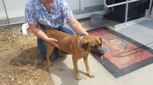 10300284_10204239646258550_7192361341853678595_n