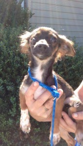 10523532_10204213004472522_1785888136513694394_n