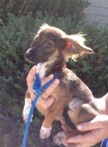 10599711_10204213004792530_4543530196909652720_n