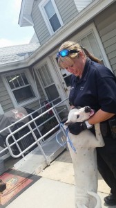 10647108_10204239645458530_5355909463362075835_n