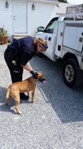 10659169_10204239658738862_7495735207905847032_n